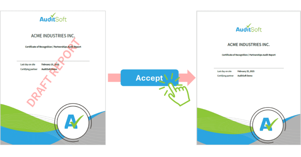 Watermarked Audit Reports