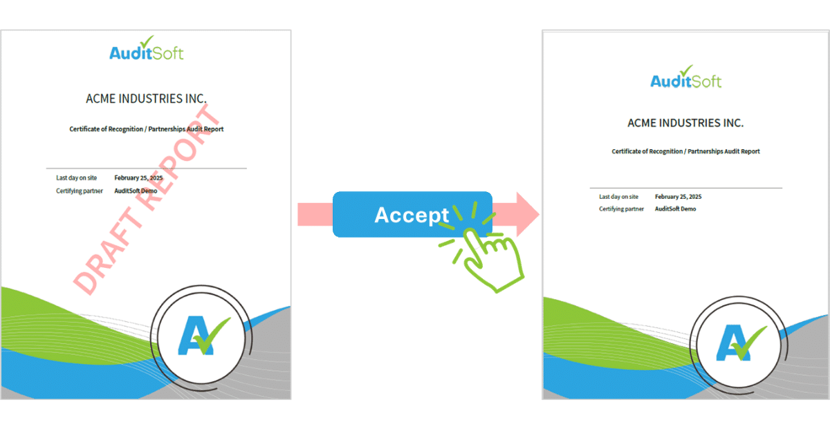 Watermarked Audit Reports