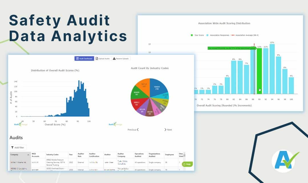 Safety Audit Data Analytics