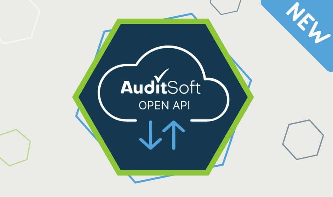 The AuditSoft Open API new