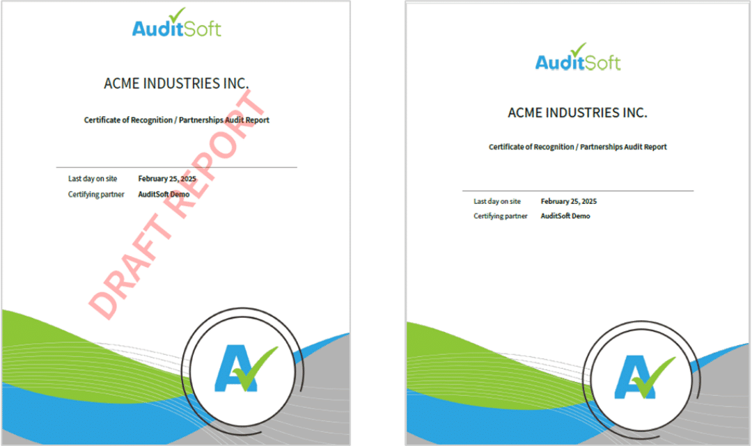 Watermarked Audit Reports