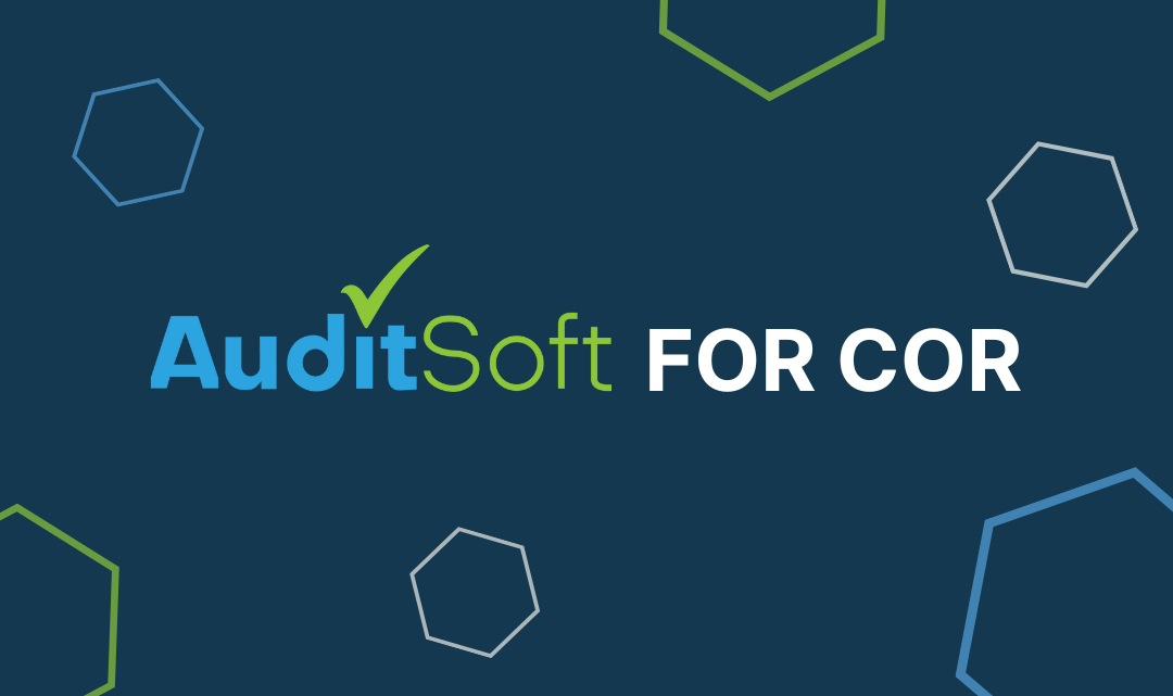 AuditSoft COR auditing tool