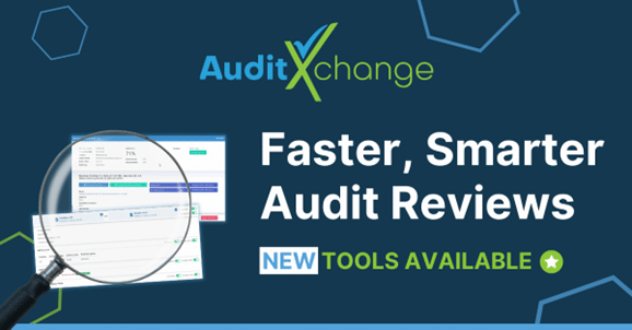 Audit Review Tools